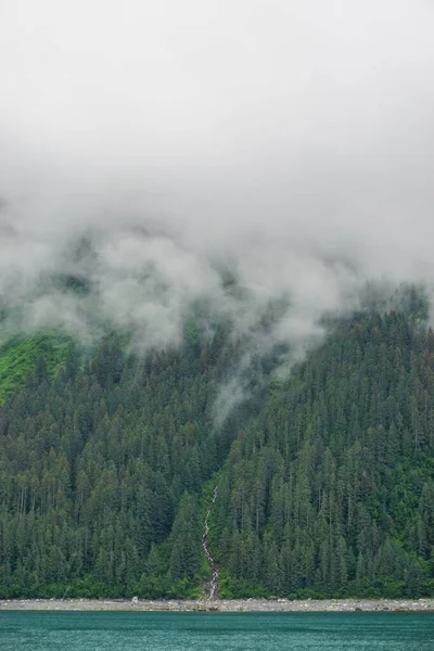 Yakutat Bay Alaska Usa Σύννεφα Που Κατεβαίνουν Πευκοδάσος Στην Άκρη — Φωτογραφία Αρχείου