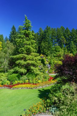 Brentwood Körfezi, British Columbia, Kanada: Kanada 'nın ulusal tarihi bir alanı olan Butchart Gardens' taki Batık Bahçeyi keşfeden küçük bir grup ziyaretçi.