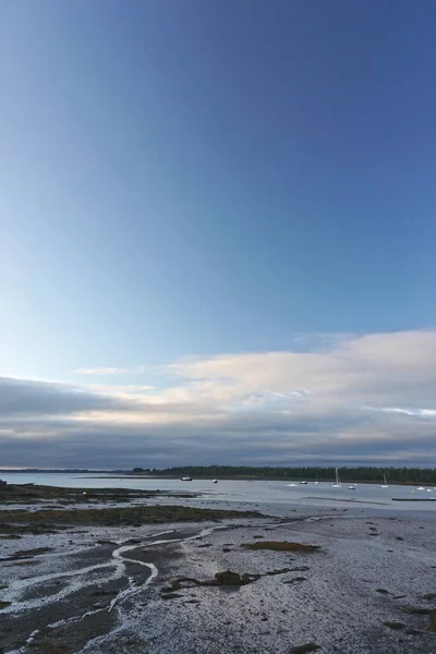 Andrews New Brunswick Kanada Hamnen Fundy Bay Vid Lågvatten Tidigt — Stockfoto