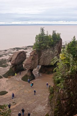 Fundy Ulusal Parkı, New Brunswick, Kanada: Turistler Fundy Körfezi 'ndeki açıkta kalan Hopewell Kayalıkları arasında yürüyorlar.