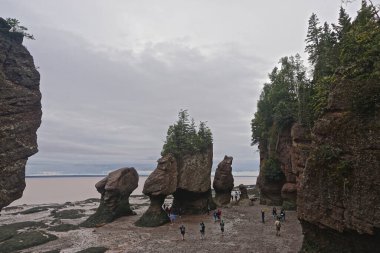 Fundy Ulusal Parkı, New Brunswick, Kanada: Turistler Fundy Körfezi 'ndeki açıkta kalan Hopewell Kayalıkları arasında yürüyorlar.