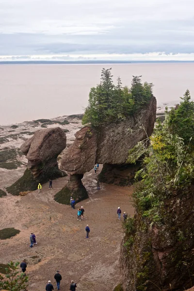 Fundy National Park New Brunswick Canadá Turistas Caminham Entre Rochas — Fotografia de Stock