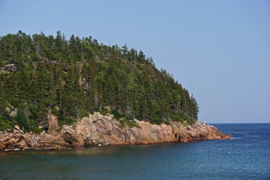 Black Brook Plajı, Cape Breton, Nova Scotia, Kanada: Açık mavi gökyüzünün altındaki kayalık bir burnun üzerindeki çam ormanı manzarası.