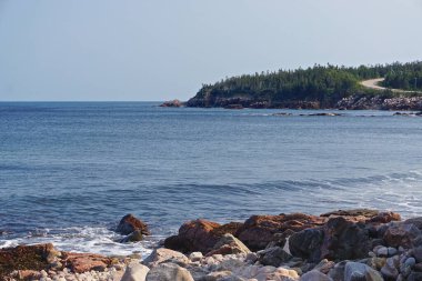 Black Brook Plajı, Cape Breton, Nova Scotia, Kanada: Açık mavi gökyüzünün altındaki kayalık bir burnun üzerindeki çam ormanı manzarası.