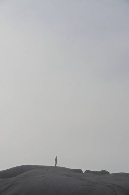 Peggys Cove, Nova Scotia, Kanada: 1914 'te Peggys Point Deniz Feneri' ndeki kayaların tepesinde bir adamın siluetini kalın bir sis kapladı.
