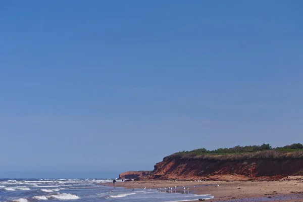 Prince Edward Island Canadá Uma Praia Arenito Vermelho Sob Céu — Fotografia de Stock