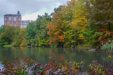 New York, New York, ABD: Central Park 'ın kuzeybatısındaki Havuz' da yapraklar dökülüyor.