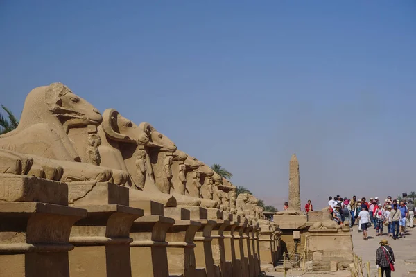 Luxor Egipto Fila Esfinges Carnero Entrada Del Templo Amón Complejo — Foto de Stock