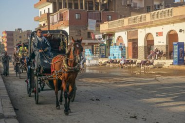 Edfu, Mısır: Horus ve Dendera 'lı Hathor' a adanmış en büyük tapınak olan Edfu 'nun tapınağına ziyaretçiler götürmek için at sürücüleri sıraya dizildiler.