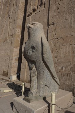 Edfu, Mısır: Dendera 'nın Horus ve Hathor' una adanmış en büyük tapınak olan Edfu tapınağındaki Horus heykeli.