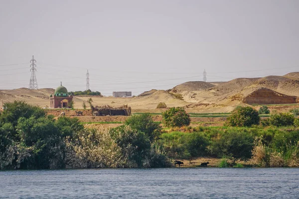 Nil River Egypt Malá Mešita Elektrické Vedení Velbloudi Dobytek Podél — Stock fotografie