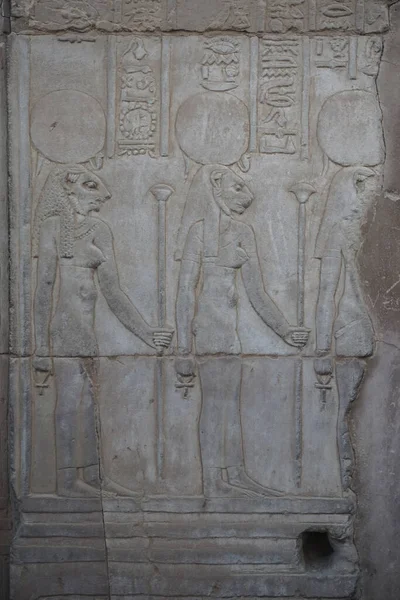 Kom Ombo Egypt Detail Carvings Kom Ombo Temple Unique Double — Stock Photo, Image