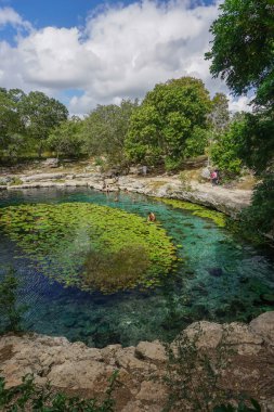 Dzibilchaltun, Yucatan, Meksika: Cenote Xlacah 'da yüzen insanlar, doğal bir kireçtaşı tatlı su havuzu..