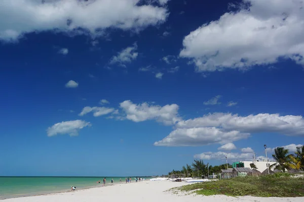 Celestun Yucatan Messico Persone Che Camminano Sulla Spiaggia Lungo Verdi — Foto Stock