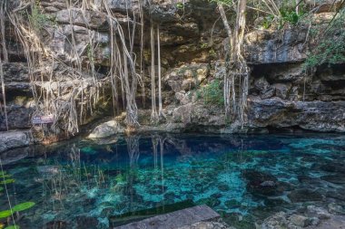 Uxmal, Meksika, Cenote X-Batun. Cenote, yeraltı sularını açığa çıkaran kireçtaşı kayalarının çökmesinden kaynaklanan doğal bir çukur ya da obruktur..