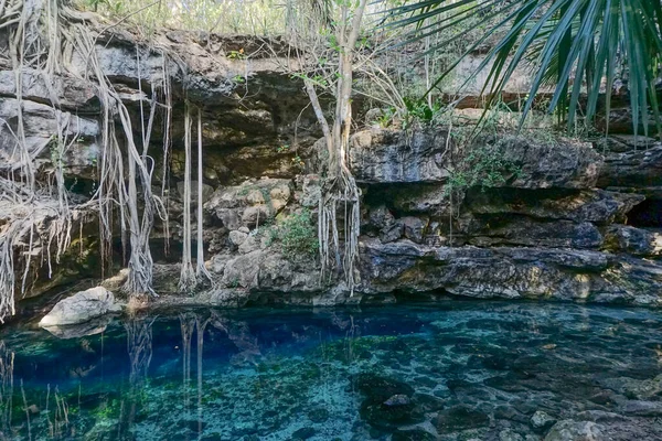 Uxmal Mexique Cenote Batun Cénote Est Une Fosse Naturelle Gouffre — Photo
