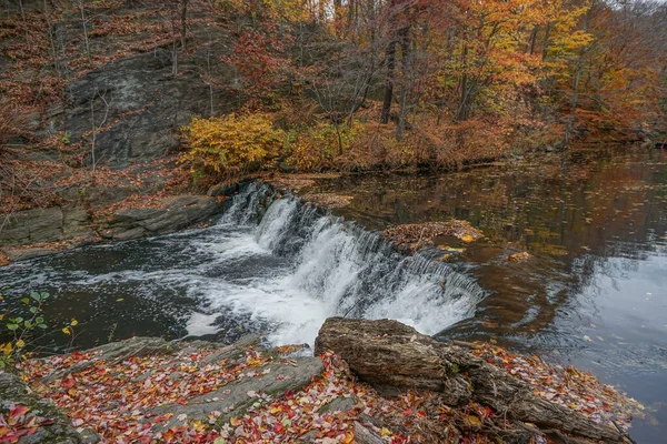 Bronx New York Usa Podzimní Lesní Scéna Potokem Malým Vodopádem — Stock fotografie