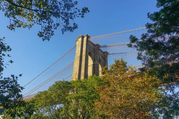 Brooklyn Nueva York Vista Del Puente Brooklyn Desde Brooklyn Bridge —  Fotos de Stock