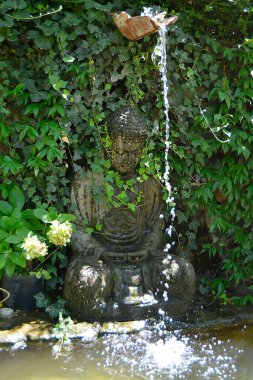 BUDDHA STATÜSÜ BİR BOTANİK GARDEN ÇAĞINDA