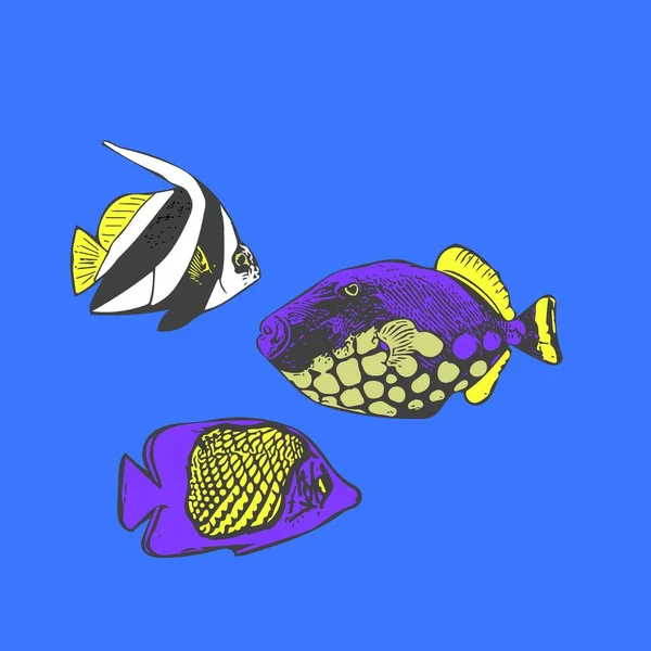 Poisson Mer Multicolore Sur Fond Bleu Illustration Couleur Dans Les — Photo