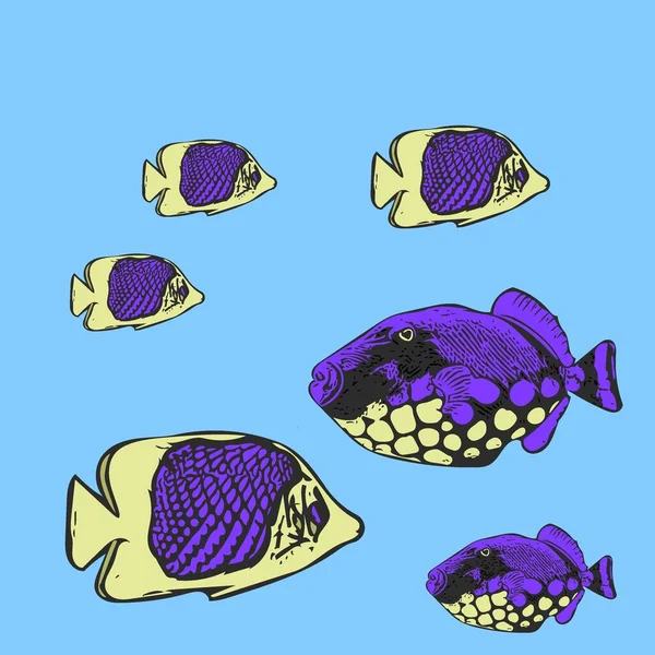 Разноцветная Морская Рыба Синем Фоне Цветная Иллюстрация Сине Фиолетово Желтых — стоковое фото