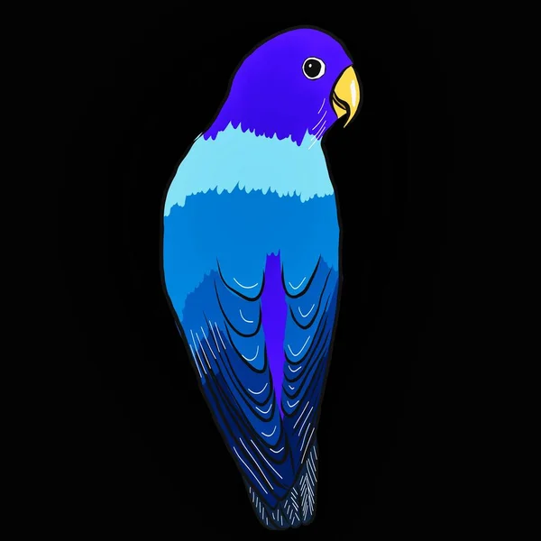 黑色背景上有一只蓝色鹦鹉的说明 — 图库照片