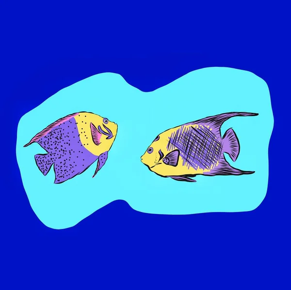 Deux Poissons Marins Aux Couleurs Jaune Violet Nagent Dans Eau — Photo