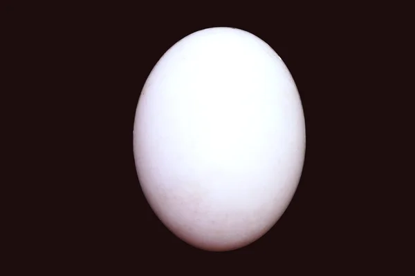 Bir Taze Yumurta Yemek Pişirme Kavramı Izole Edilmiş Siyah Arkaplan — Stok fotoğraf