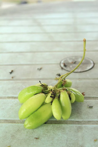 Bilimbi Okurka Nebo Strom Šťavel Averrhoa Bilimbi Stole Thailand — Stock fotografie