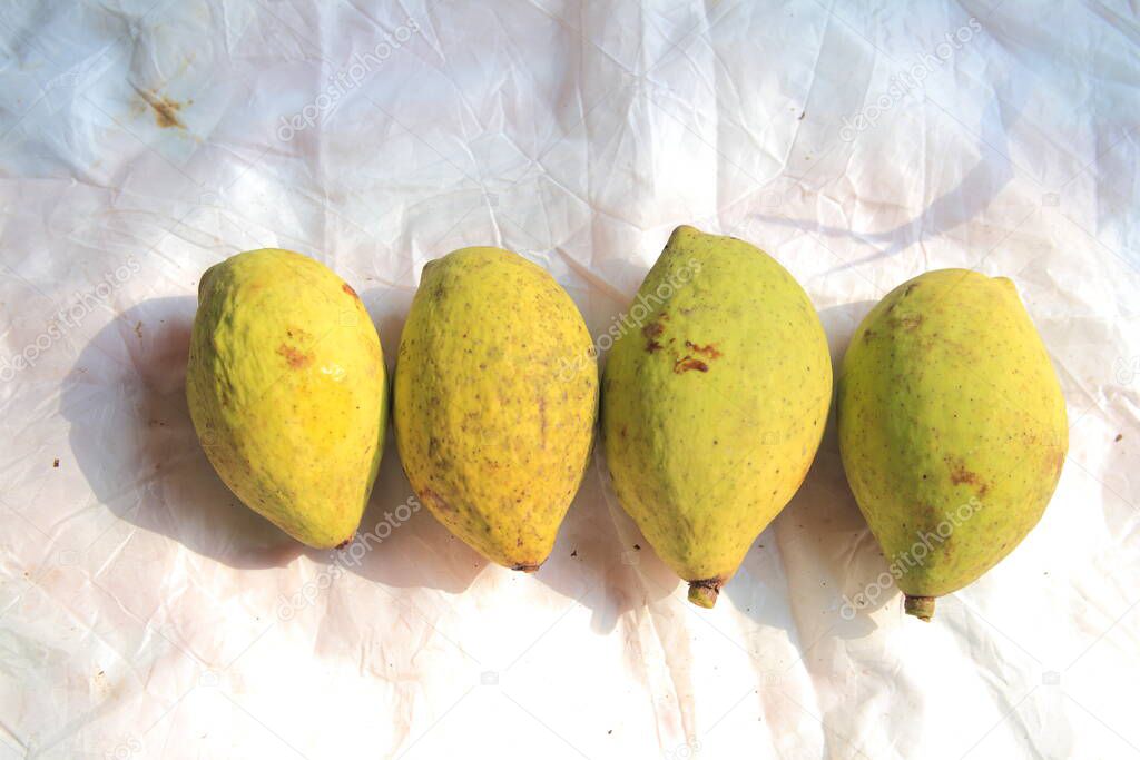 mango fruits Mangifera foetida Lour on table