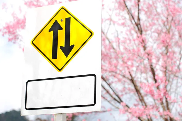 Two-way traffic sign, two-way traffic sign in tourist attraction background cherry blossoms in Thailand