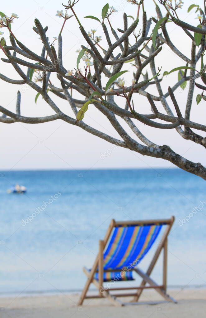 Beach chair under the tree at empty sand beach with blue sea and blue sky background
