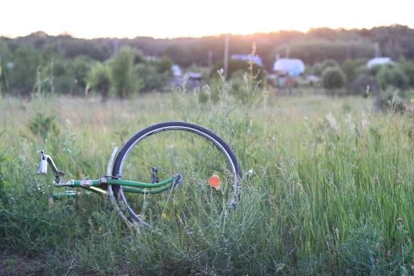自転車は草原の草の中に横たわっている — ストック写真