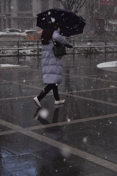 Snöstorm Centrum Bland Höga Byggnaderna — Stockfoto