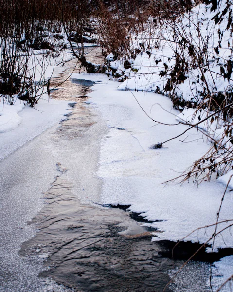 Замороженный Поток Льдом Камнями Сухой Травой — стоковое фото