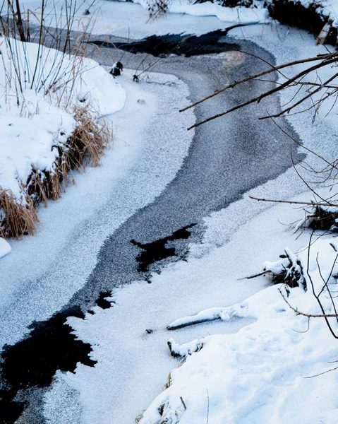 Córrego Congelado Com Gelo Rochas Grama Seca — Fotografia de Stock