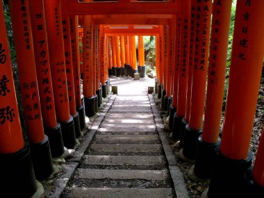Kyoto, Japonya, 15 Temmuz 2016: Fuskimi Inari Taisha Tapınağı. Kyoto, Japonya