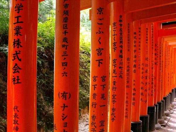 Kyoto Japão Julho 2016 Templo Fuskimi Inari Taisha Quioto Japão — Fotografia de Stock