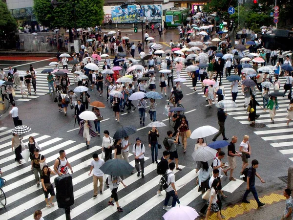 Tokio Japón Julio 2016 Famoso Cruce Shibuya Con Cruces Todas —  Fotos de Stock