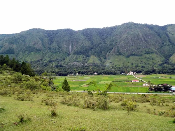 Pulau Samosir Jezioro Toba Sumatra Indonezja Stycznia 2018 Pola Ryżowe — Zdjęcie stockowe