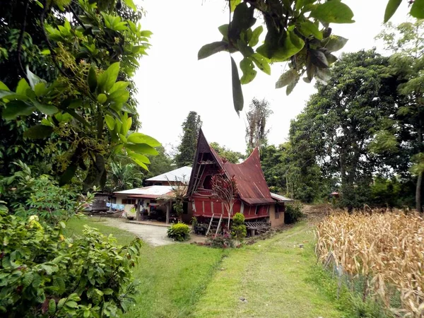 Pulau Samosir Lake Toba Sumatra Ινδονησία Ιανουαρίου 2018 Παραδοσιακό Σπίτι — Φωτογραφία Αρχείου