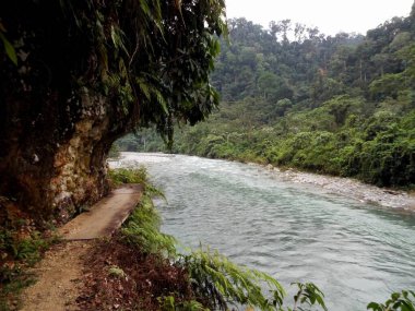 Endonezya 'nın kuzeyindeki Bukit Lawang yakınlarındaki Bahorok nehri boyunca uzanan yol.