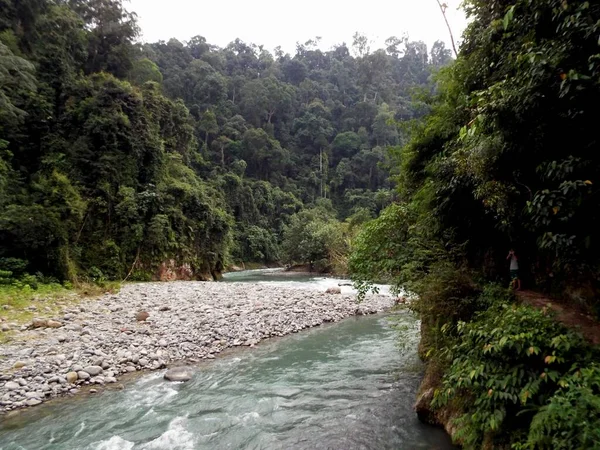 Rivière Bahorok Traverse Jungle Près Bukit Lawang Dans Province Indonésienne — Photo