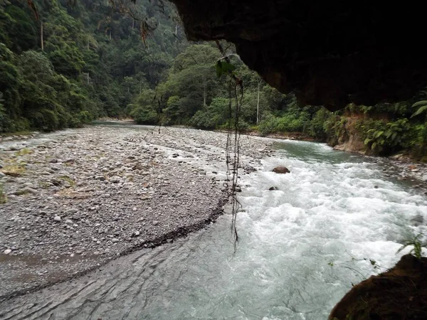 Vue Quelques Rochers Rivière Bahorok Dans Jungle Près Bukit Lawang — Photo