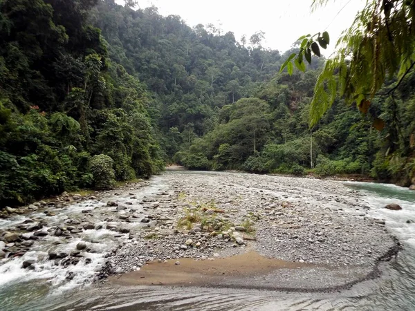 Rivière Bahorok Dans Jungle Près Bukit Lawang Dans Province Indonésienne — Photo