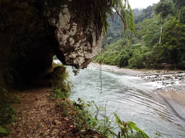 Route Autour Rivière Bahorok Dans Jungle Près Bukit Lawang Dans — Photo