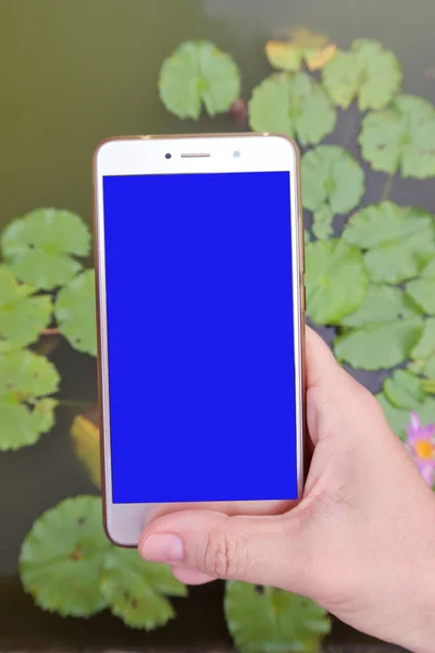 Vertical view of a blue phone screen.