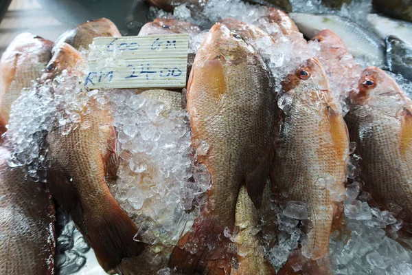 Georgetown Penang January 2020 Fish Sale Pasar Lebuh Cecil Market — 스톡 사진