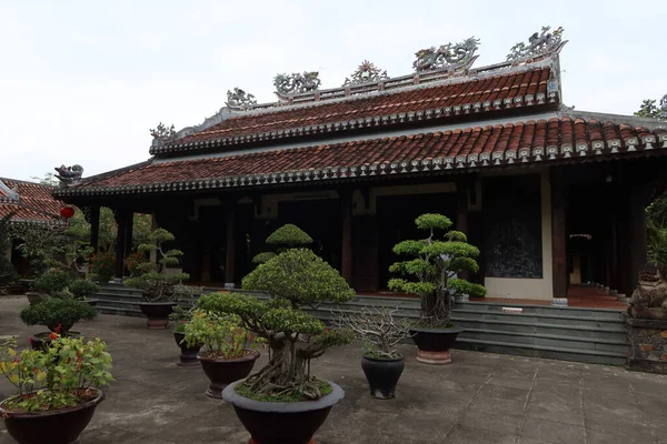 Hoi Єтнам Лютого 2020 Bonsai Перед Храмом Хой Єтнам — стокове фото