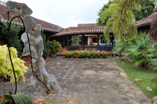 Hoi Vietnã Fevereiro 2020 Orquídea Pátio Templo Hoi Vietname — Fotografia de Stock